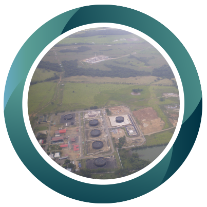 Planes de establecimiento, manejo y aprovechamiento forestal